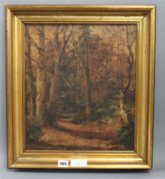 Elinor May Constable (1872-1947), oil on canvas, Autumn Ardtully, inscribed and labelled verso, 39 x 34cm